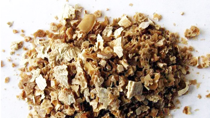 復(fù)購(gòu)是對(duì)蒸汽源最好的評(píng)價(jià)！某生物科技公司二期蒸汽源機(jī)組正式交付使用